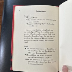 MOSES GOD’S HELPER BIBLEARN SERIES HARDCOVER BOOK BY WILLIAM YOUNG VERY GOOD