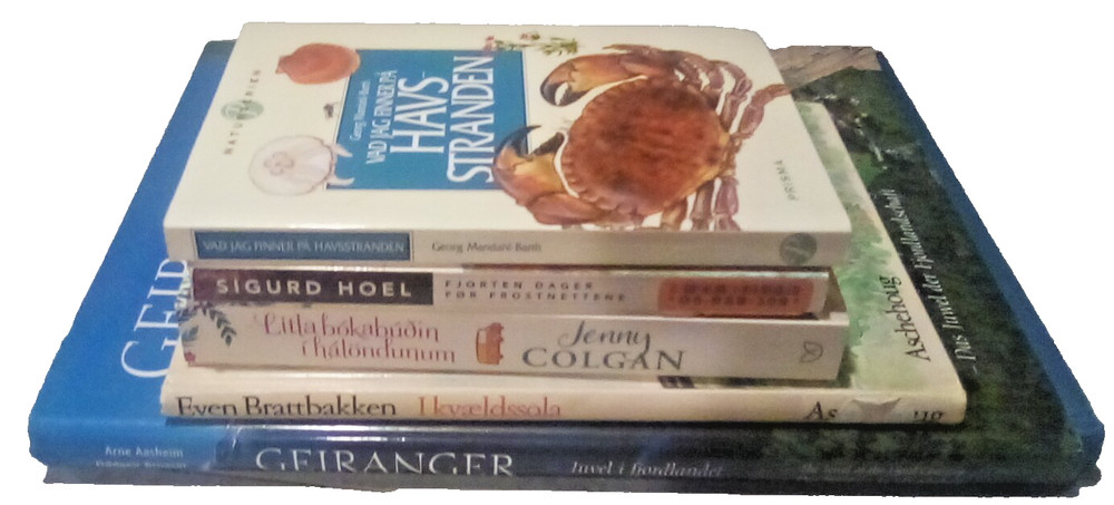 Norwegian and Icelandic Book Lot – Assorted Genres and Themes
