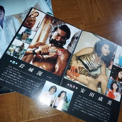 Koichi Iwaki Talent Photo Collection Book with Movie Pamphlet Scarce 80s