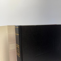 Albert Hadley The Story of Americas Preeminent Interior Designer Adam Lewis HC