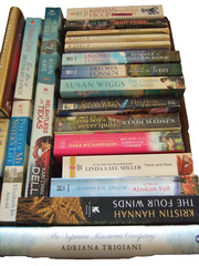 22 NOVELS BY THE TOP WOMEN ROMANCE FAMILY WRITERS for 1 Low Price + Free Ship