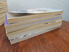 Animal Ark Book Lot 24 Paperbacks Ben M Baglio Pets 1 Hardback With 22 Stories