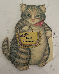 Vintage Kitty Cucumber Paperback Book by James Lillemoe, 13 Pages- in 1983, Rare