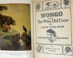 Native American Juvenile Library Lot 1900-1929 Inscribed 1st Color Plates 11 Vol