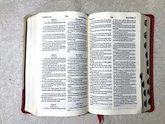 Russian/English Parallel Bible, Tan Cherry, ImitationLeather,Synodal/King James
