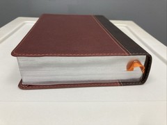 Teen Life Application Study Bible NLT (Leather / Fine Binding) Open Box