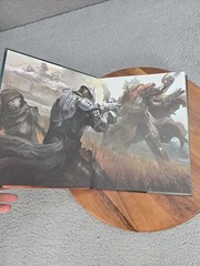 Destiny Limited Edition Hardcover Official Strategy Game Guide 2014 Brady Games