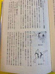 Sumo Encyclopedia by Kazuya Sawada, 244 pages, Illustrated, Good condition