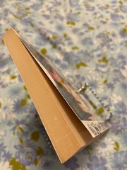 BOOK Urban Shaman SERGE KAHILI KING PH D Handbook Transformation Hawiian Way pb