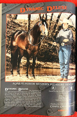 SALE ENDS 6/15! 1986 QUARTER HORSE JOURNAL Book – DYNAMIC DELUXE, ZAN PARR BAR