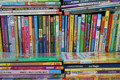 Bulk/Huge Lot of 100 of Children’s Kids Chapter Books – Random – Free Shipping!