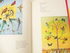 Tiger Flower by Robert Vavra Illustrated by Fleur Cowles Signed 1968 Hardcover