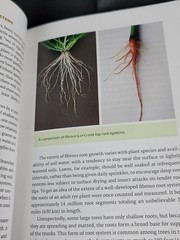 Botany for Gardeners Fourth Edition Brian Capon 2022 Timber Press Paperback
