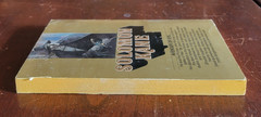 Solomon Kane: Skulls in the Stars – Robert E. Howard – 1978 Bantam PB Fantasy