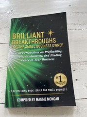 Brilliant Breakthroughs For The Small Business Owner Fresh Perspectives On Pr YD