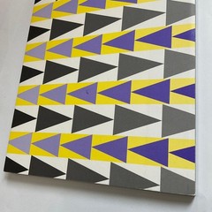Towada City Contemporary Art Museum inter+play 001 Exhibition Catalog Arts Towad