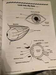 Super Science Activities Ser.: The Human Body by Ruth Young (2002, Trade…