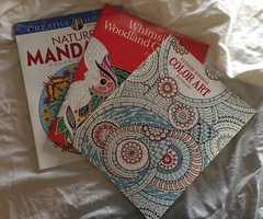 Small Lot Of Ornate Coloring Books Leisure Arts Skyhorse & Creative Haven