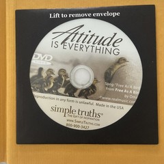 Attitude is Everything: 10 Rules for Staying Positive by Vicki Hitzges