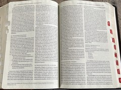 Biblia tematica RVR 1960 de Estudio, Marrón OscuroPiel Fabricada indice