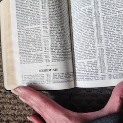 New World Translation Holy Scriptures 1984 Revised Bible Watch Tower Society