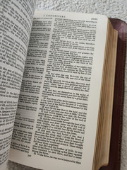 VINTAGE-1950 The Holy Bible Consolidated Book Illustrations Celebrated Old Maste