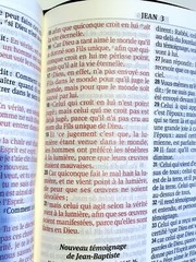 French Bible LARGE PRINT Compact, Segond 1910 Brown Imitation Leather Red Letter