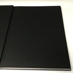 Allen Ginsberg Photographs 2nd Edition 1990