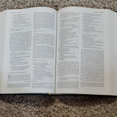 Didache Bible + Great Adventure Ascension Press Bible