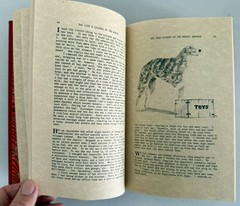 The Life & Legends of the Borzoi by Eileen Worthing 1977 First Edition HC