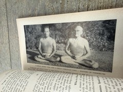 Vintage Rajasi Janakananda A Great Western Yogi Paramhansa Yogananda 1st ed SRF