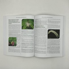 THE LOST BOOK OF HERBAL REMEDIES NICOLE APELIAN CLAUDE DAVIS 2021 PAPERBACK
