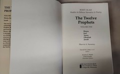 Berit Olam: Volume 1 Hardcover 2000 The Twelve Prophets Hebrew Narrative Poetry