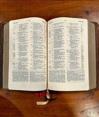 RARE: Charles Ryrie Study Bible NKJV, Premium American Bison Leather Binding