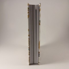 Gustav Klimt. Complete Paintings by Tobias G. Natter: New
