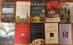 Lot of 20 Large Trade Literature Fiction Paperback BestSeller UNSORTED Mix Books