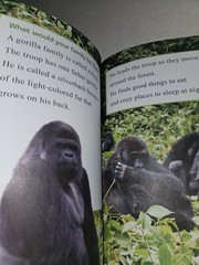 I Can Read Level 1 Ser.: Ranger Rick: I Wish I Was a Gorilla by Jennifer Bové…