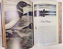 THE ILLUSTRATED WALDEN or Life in the Woods Henry David Thoreau Illustrated NEW