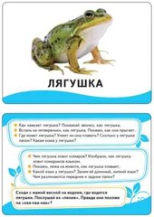 Животные. Развивающие карточки 0+ Kids Book in Russian