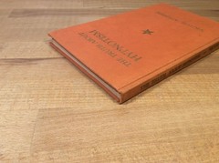 The Truth About Hypnotism, Ahlheim, Lessons, Technique, New Age, 1947