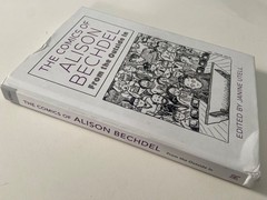 Comics of Alison Bechdel: From the Outside In ~ Hardcover ~ ACCEPTABLE ( Read )