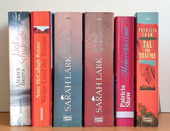 BUCHPAKET+6 BÜCHER+LIEBE+Romantik+ PATRICIA SHAW+SARAH LARK+ TB+BUNDLE