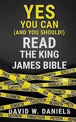 Yes You Can (and You Should) Read – Paperback, by Daniels David W. – Very Good