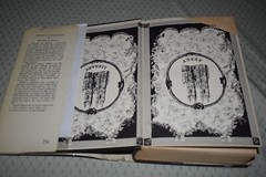 Droll Stories by Honore de Balzac (Abbey Library, dust jacket)
