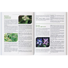 The Lost Book of Herbal Remedies Paperback Book
