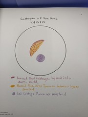 The Next Chapter Stories & Watercolors by Daniel Humm SIGNED With Will Guidara