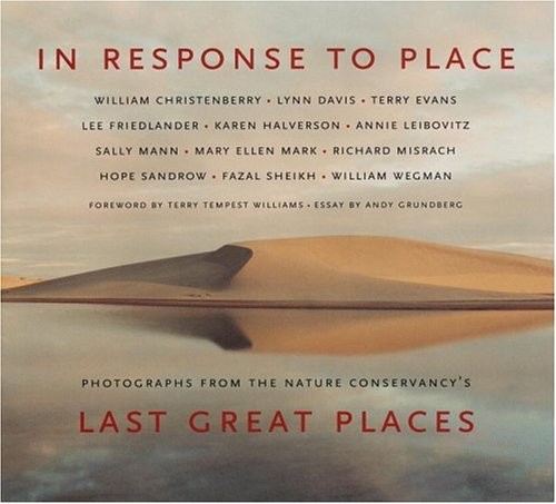 In Response to Place by Andy Grundberg