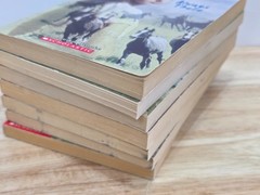LOT OF 7 Heartland Book Series Lauren Brooke Horses Mixed Lot PB 2-4 6 8 18 20