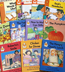 The Wright Group Story Box Emergent Books 21 Readers Joy Cowley Levels E F G H I