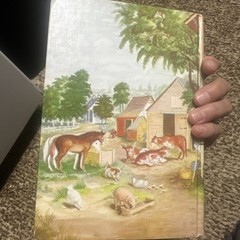 Farmer Boy by Laura Ingalls Wilder (1953, Hardcover)illustrated